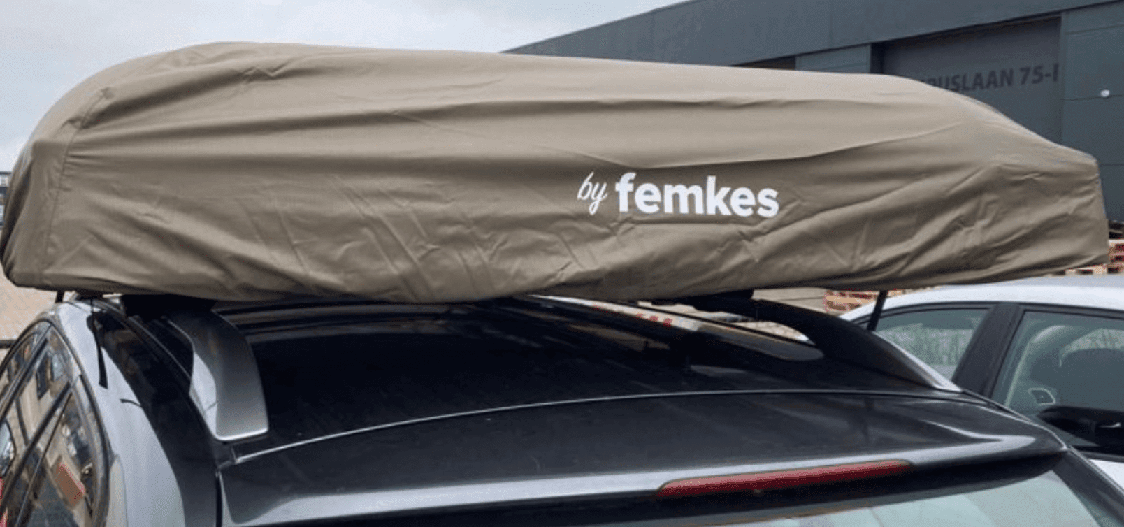 Femkes JoyCee 140 – Canopy & Entry